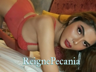 ReignePecania CS Sexcam