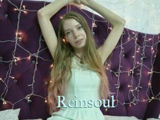Reinsoul