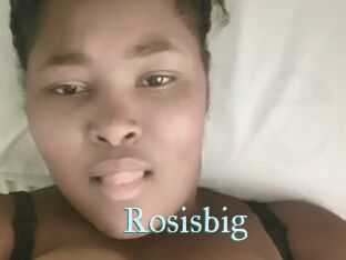 Rosisbig