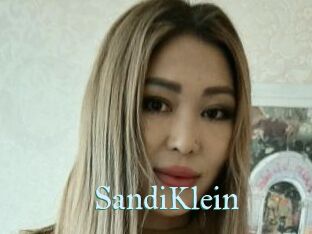 SandiKlein