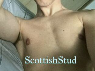 Scottish_Stud