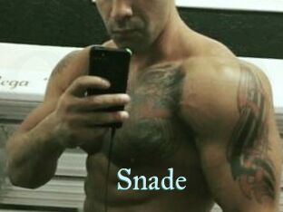 Snade