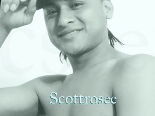 Scottrosee