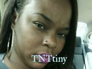 T_N_Ttiny