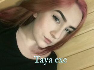 Taya_exe