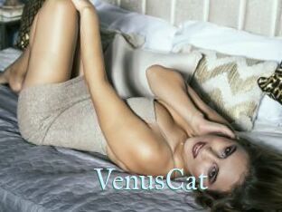 VenusCat