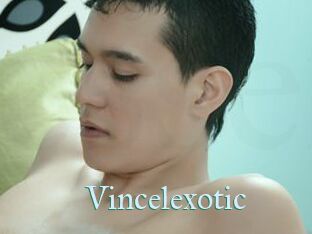 Vincelexotic