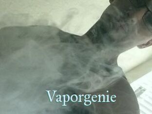 Vapor_genie