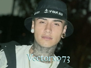 Vectorx073