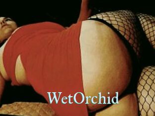 WetOrchid