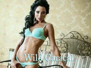 Wild_Caracal
